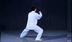 正雷太极书院|陈氏太极拳老架一路陈斌老师教学第三十五式：护心拳